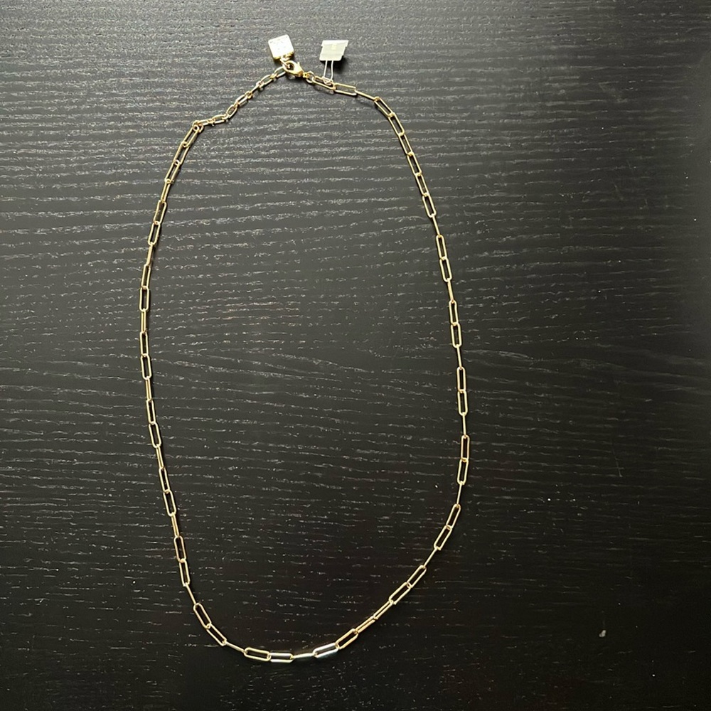 Zenzii Margot Paperclip Link Long Necklace.